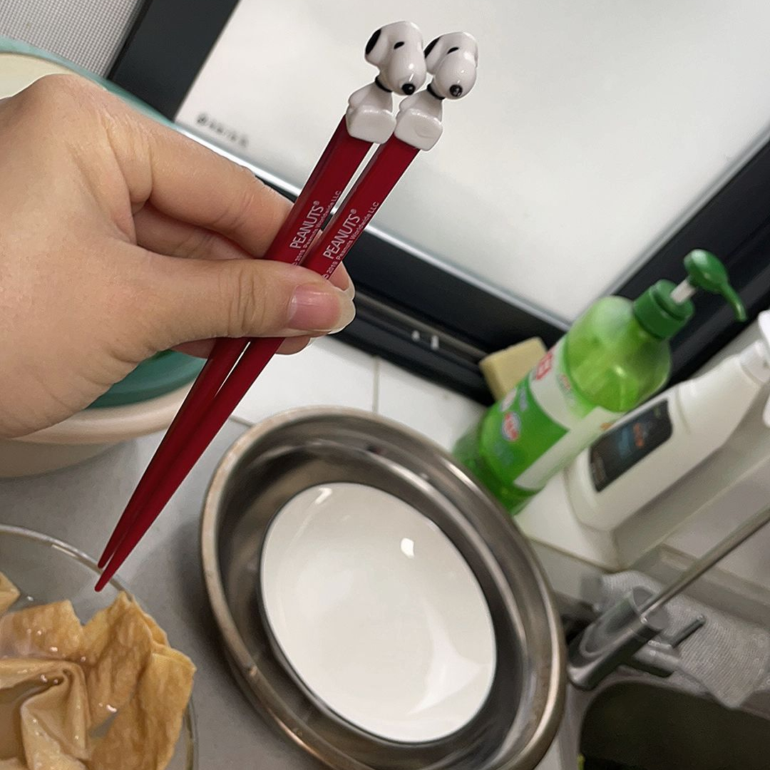 Peanuts Snoopy & Woodstock Japanese Dish Set (4-Piece Collection)