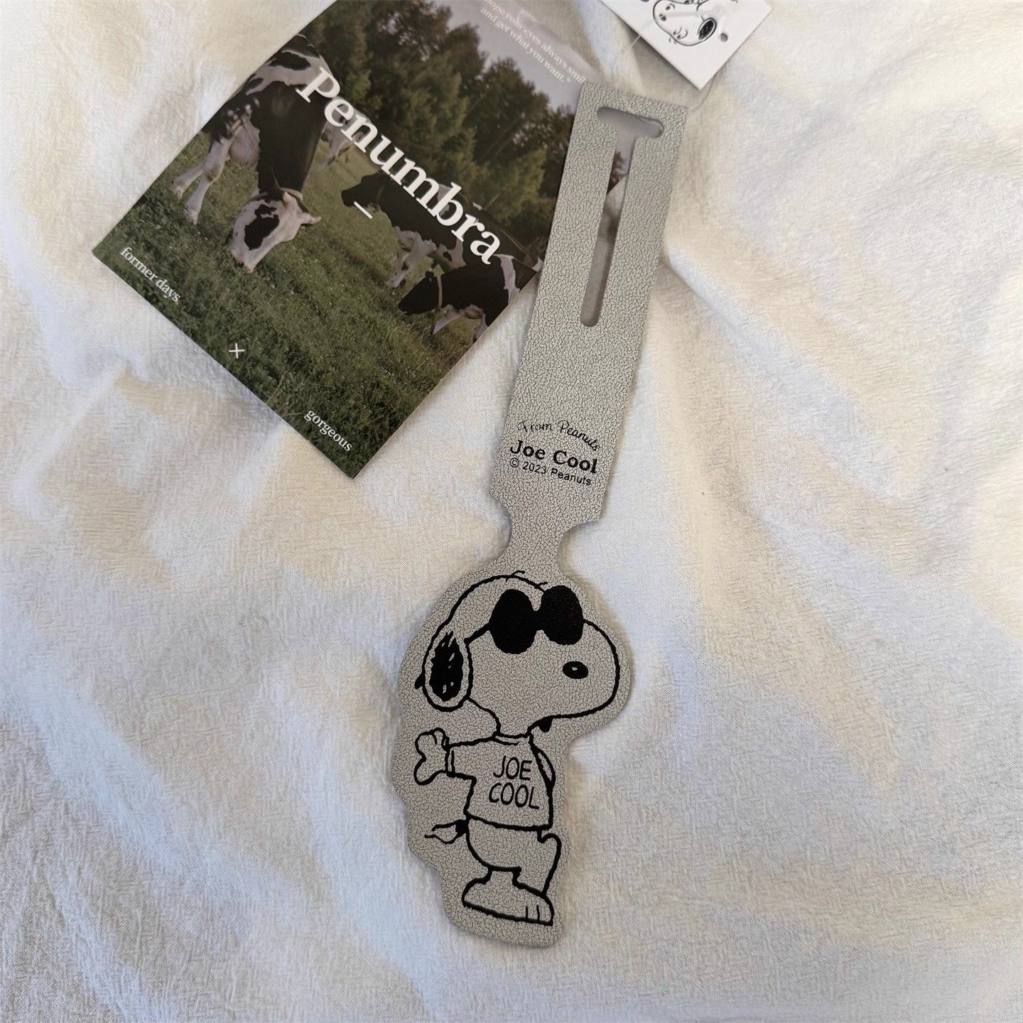 Snoopy Genuine leather Luggage Tags 4 Pcs Set