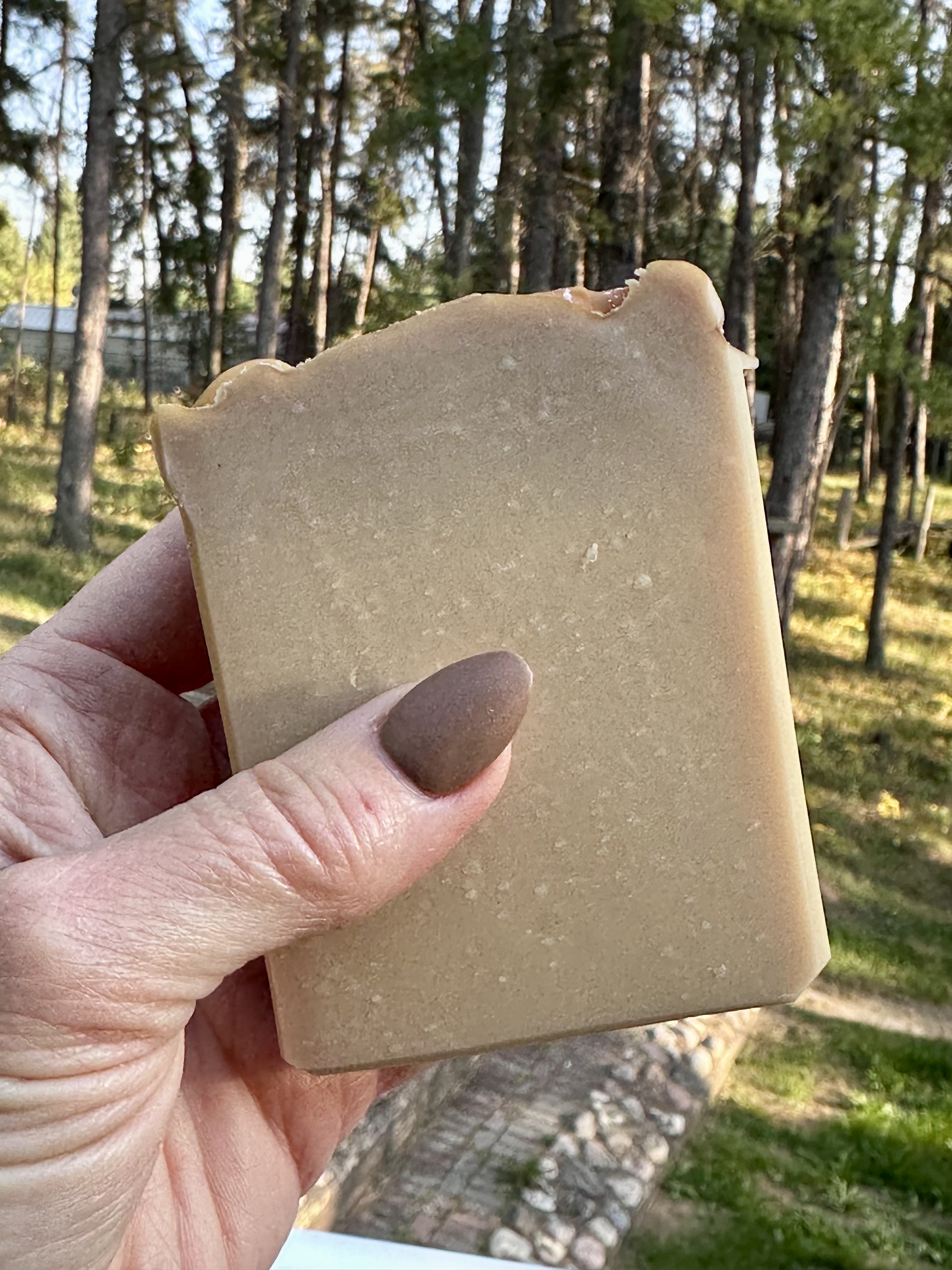 Citrus Vanilla Fizz Handcrafted Soap