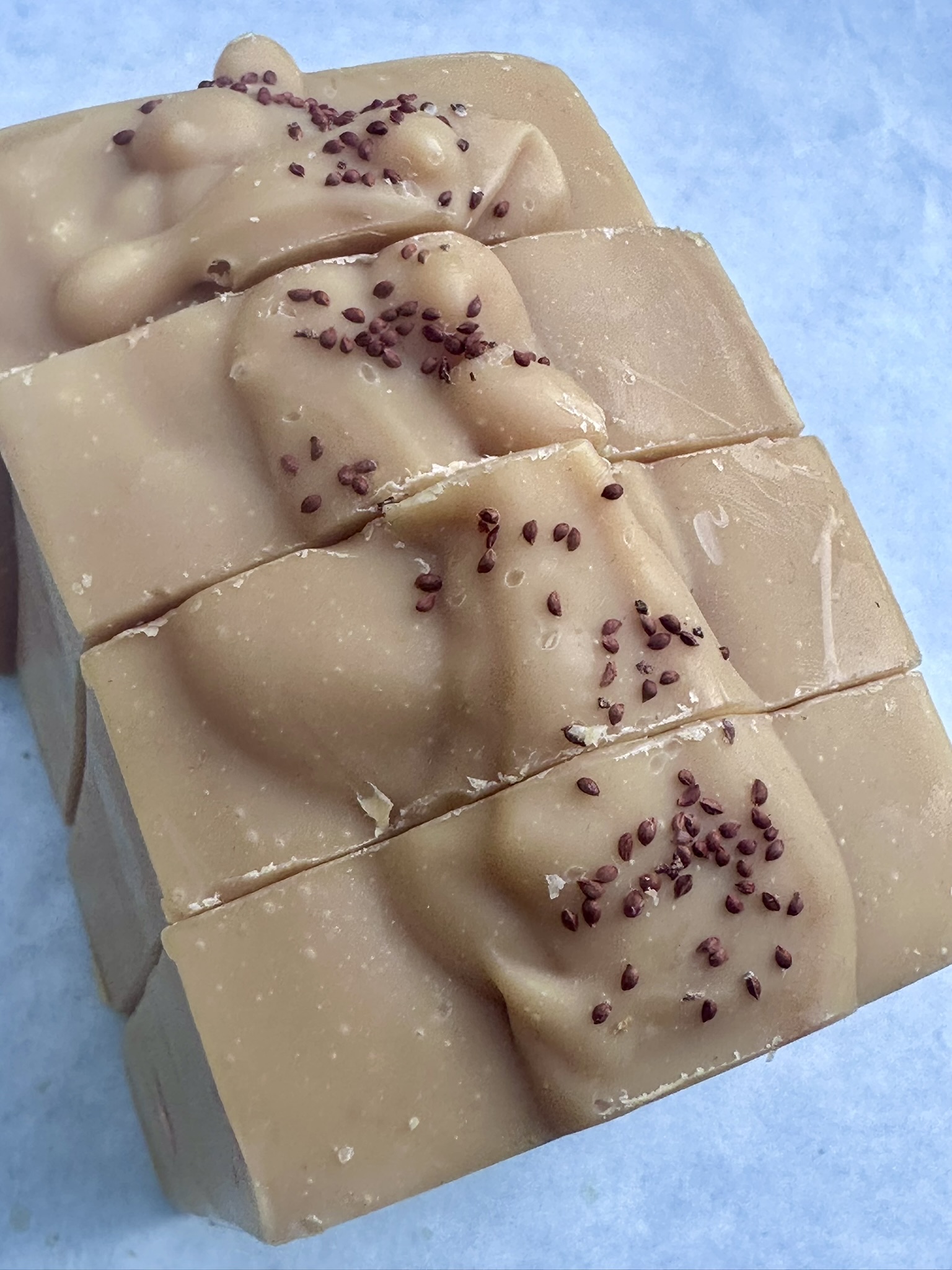 Cranberry Marmalade Handcrafted Soap