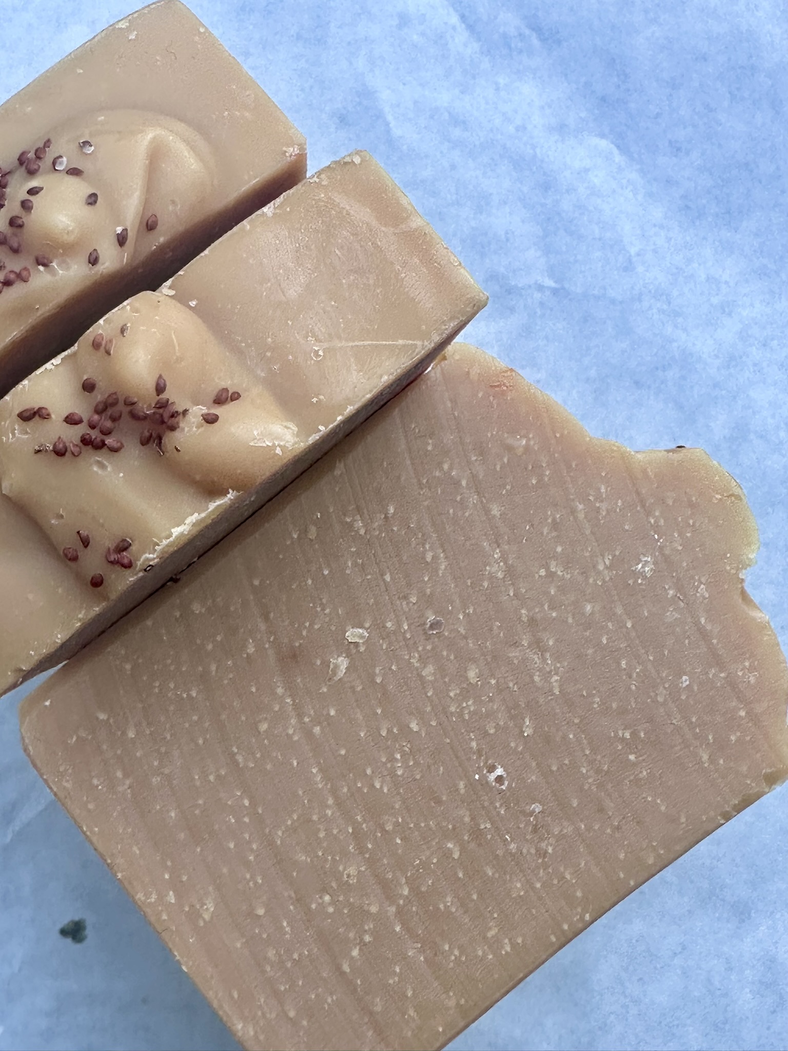 Cranberry Marmalade Handcrafted Soap