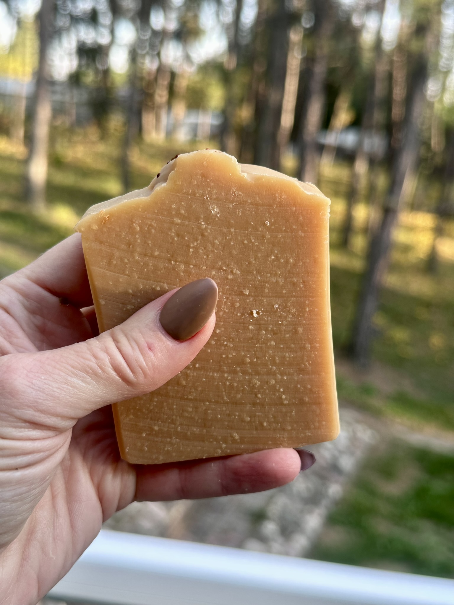 Cranberry Marmalade Handcrafted Soap