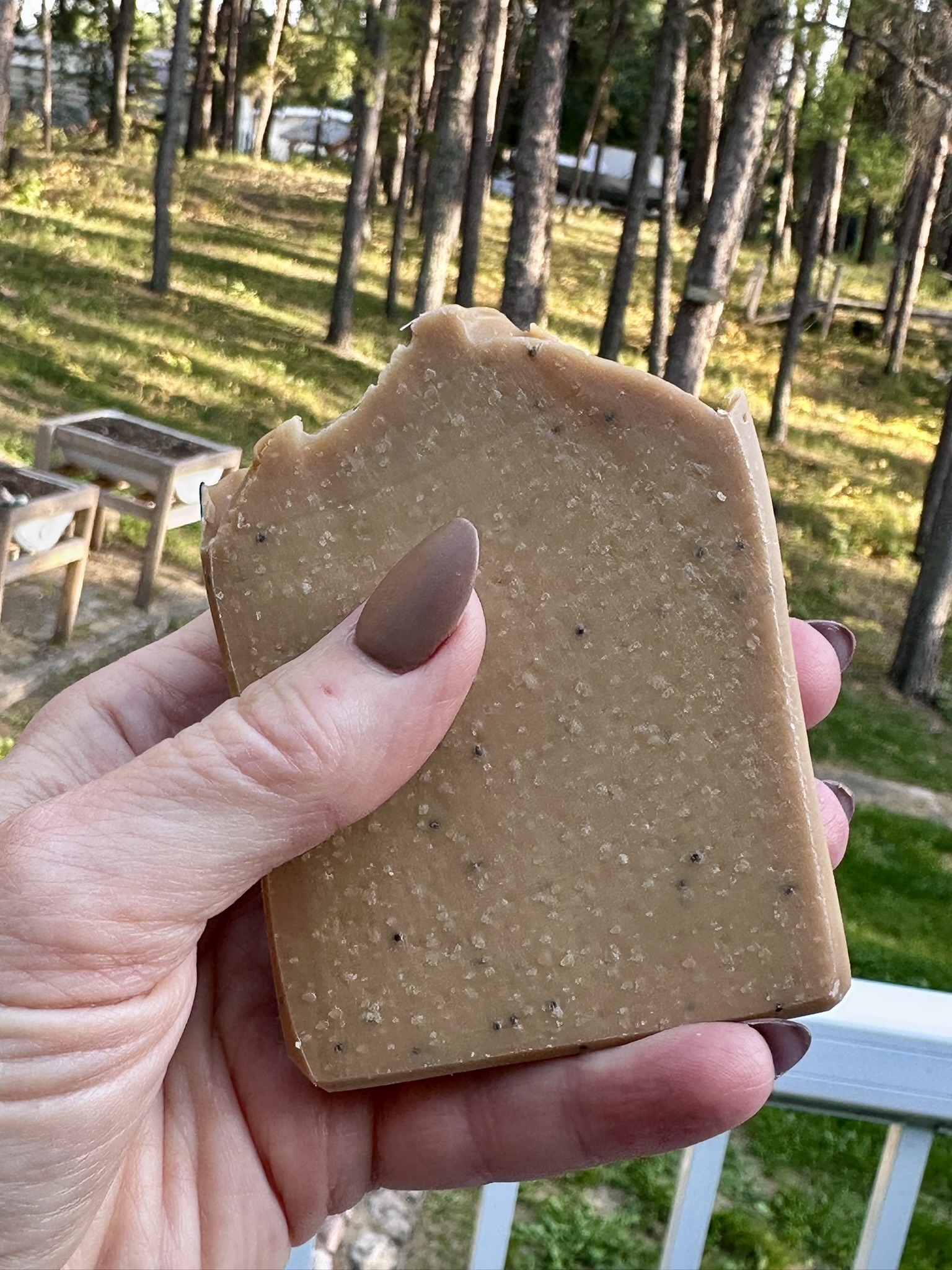 Lemon Poppy Pound Cake Handcrafted Soap