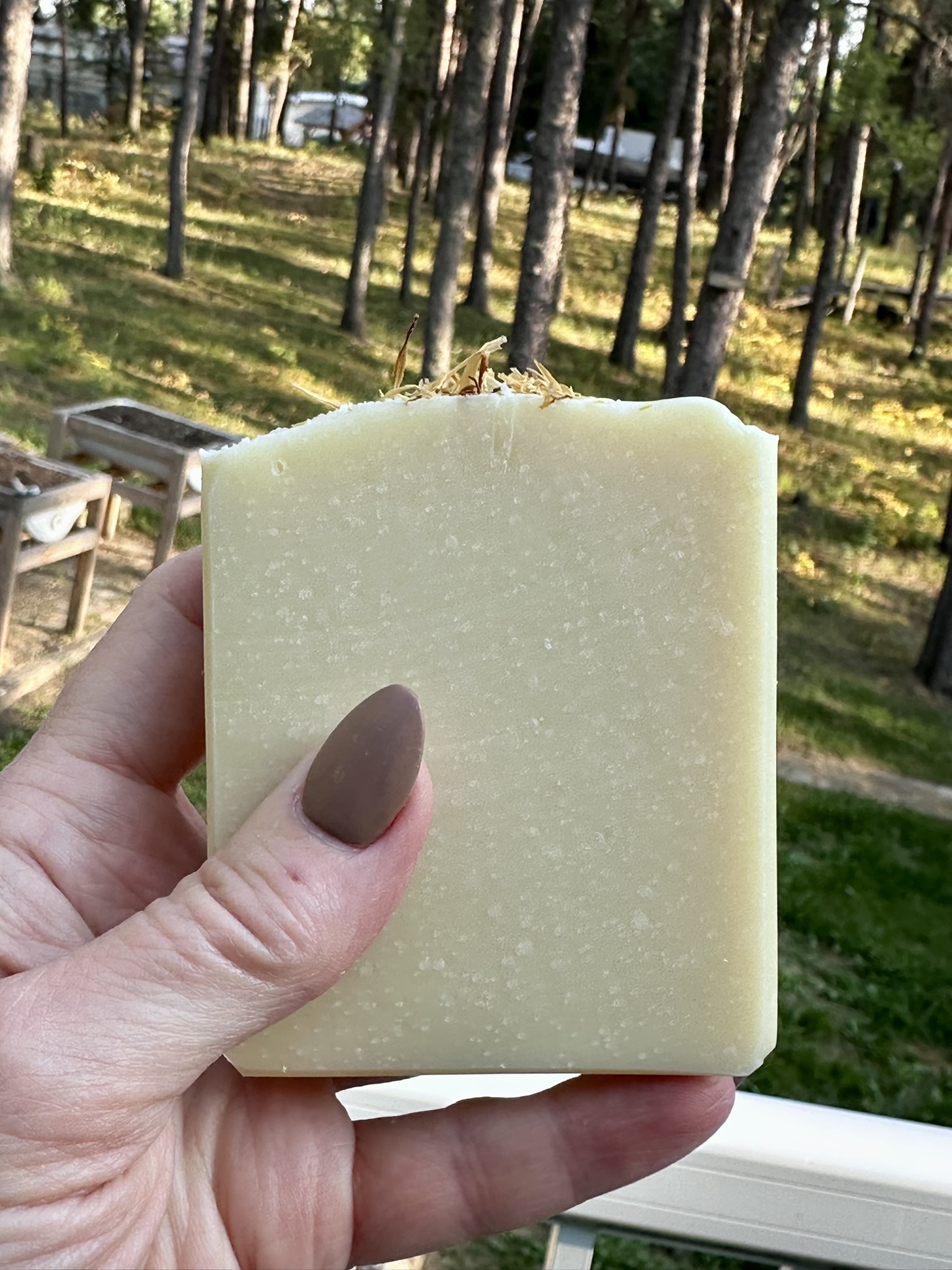 Bare Blossoms Handcrafted Soap