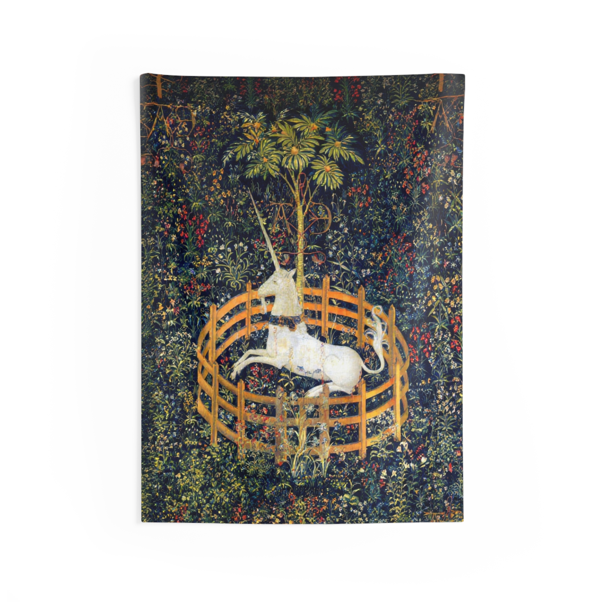 The Unicorn in Captivity 