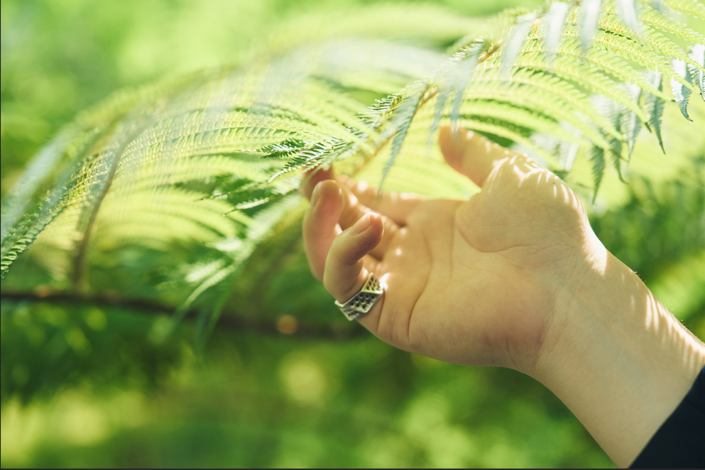 覺脈環 Awaring Ring