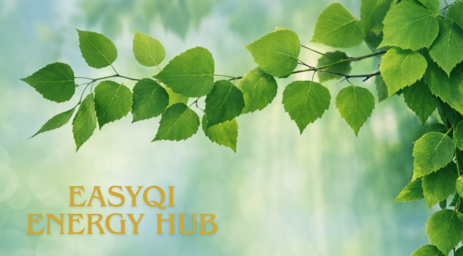 EasyQi Energy Hub Booking