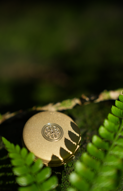  Aware of Life \ 覺之花