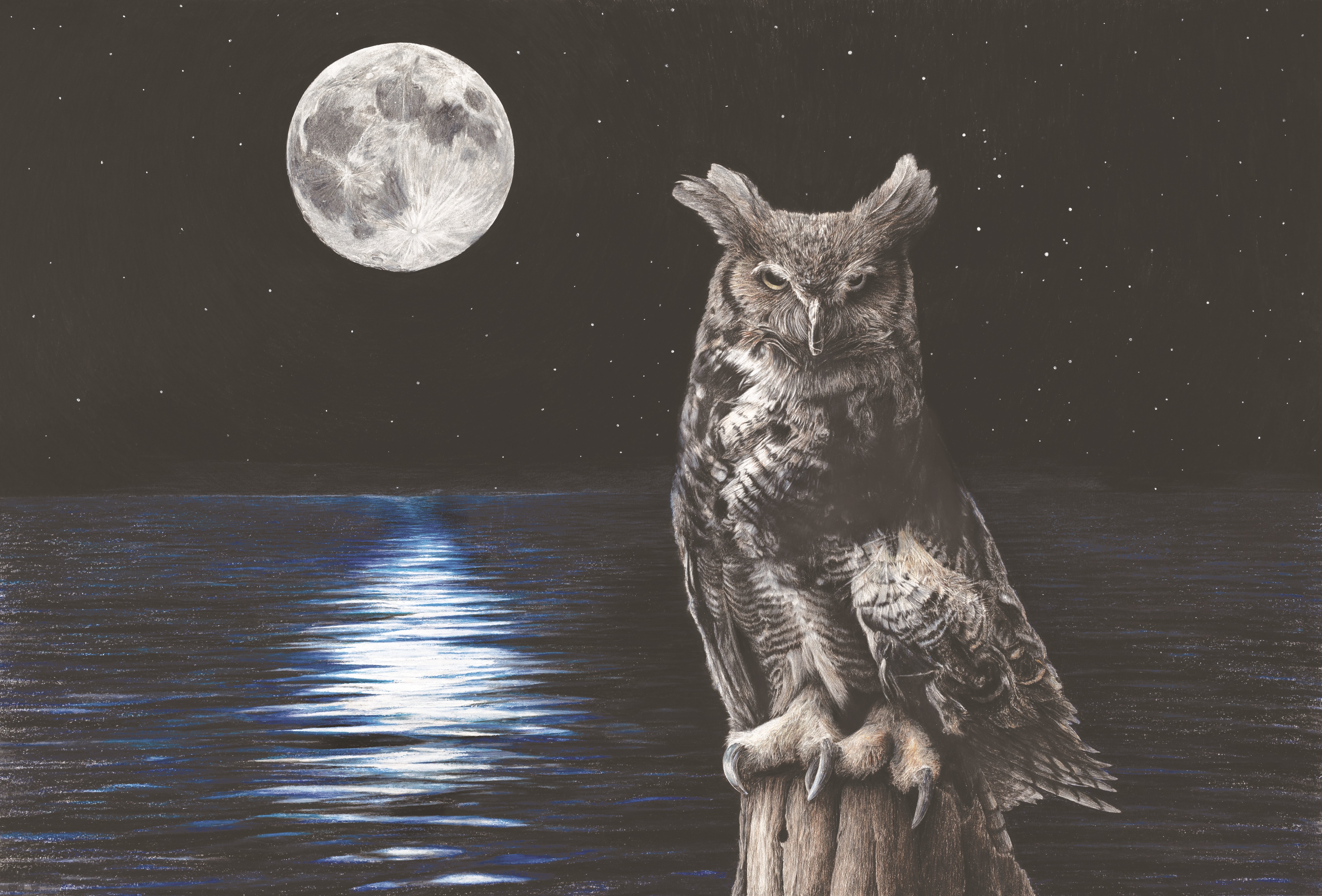 Great Horned Owl in Moonlight