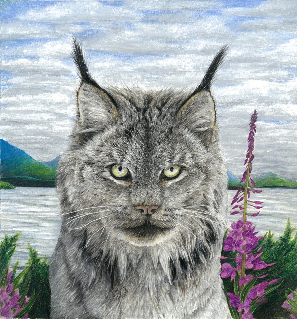 Lynx in Fireweed