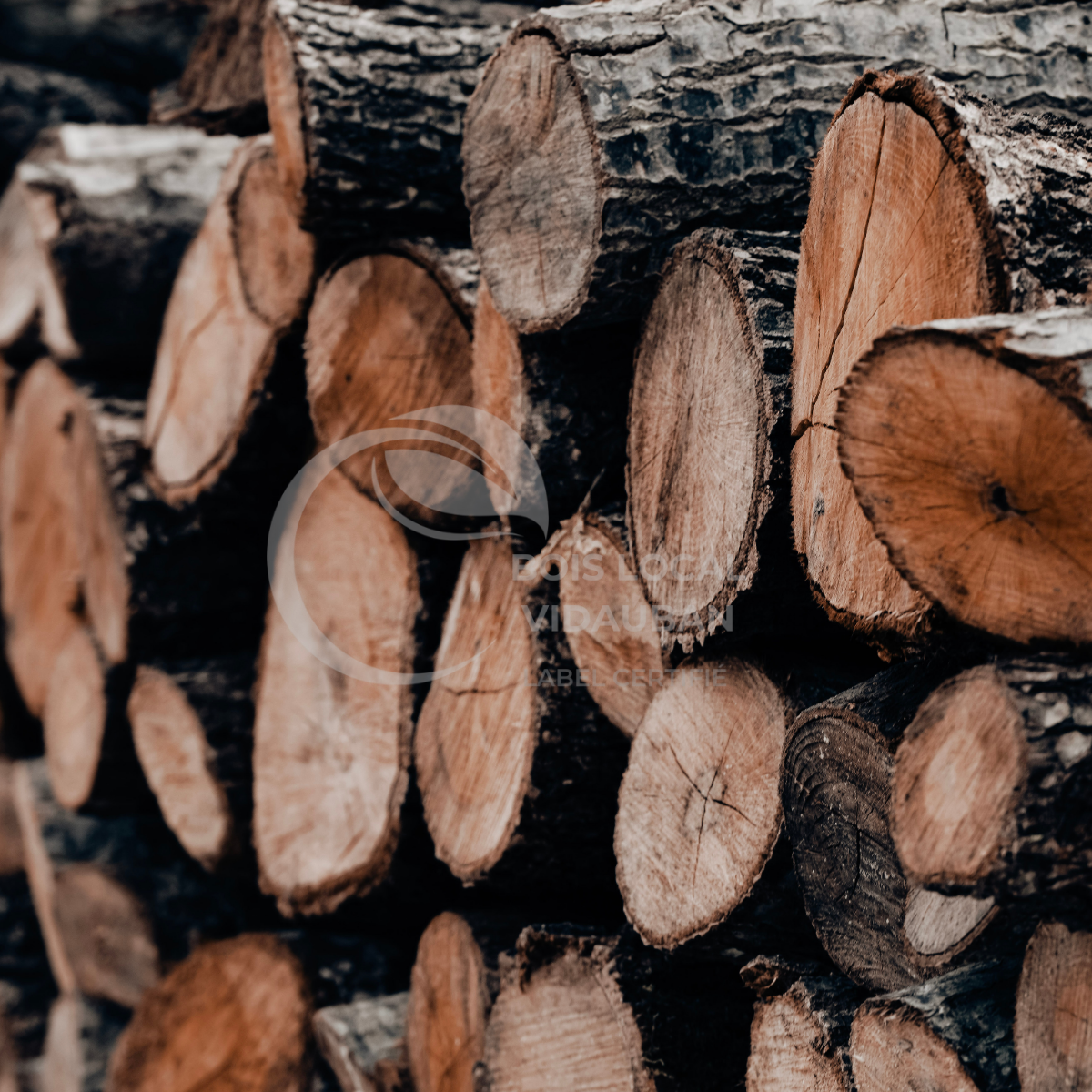 Mélange chêne / Hêtre / Châtaignier