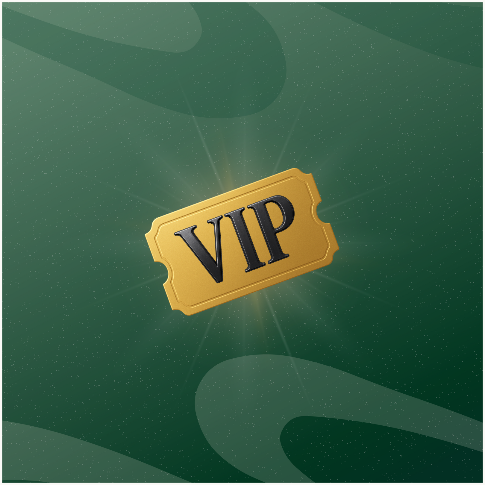 VIP TICKET