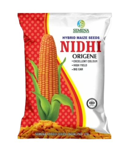 Hybrid Maize Seeds NIDHI ORIGENE