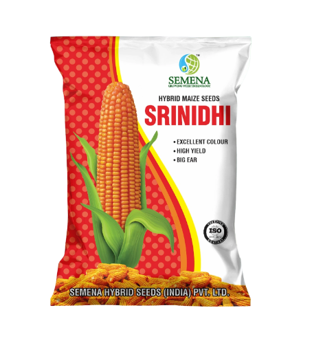Hybrid Maize Seeds - SRINIDHI