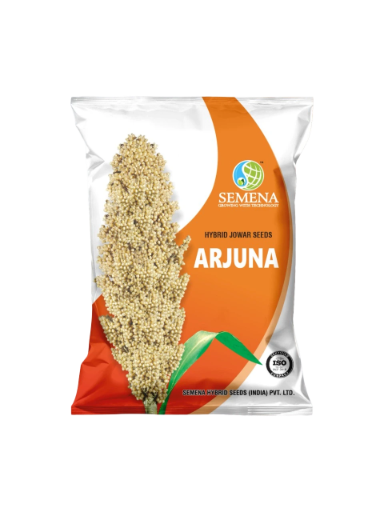 Hybrid Jowar Seeds Arjuna