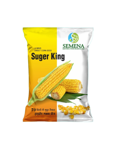 Suger King Hybrid Sweet Corn Seed