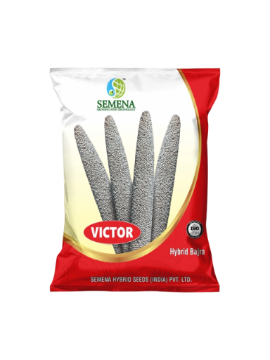 Victor Hybrid Bajra Seeds