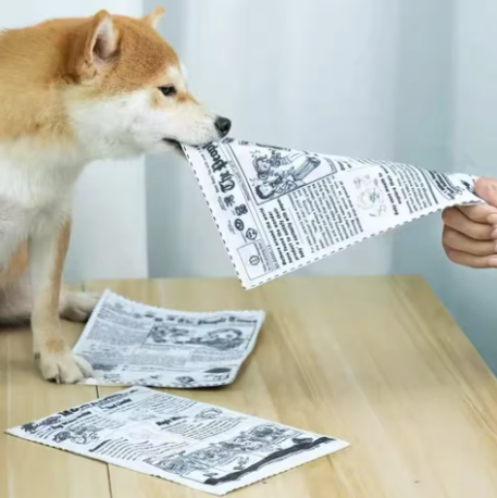 Pet Training Pee Pads