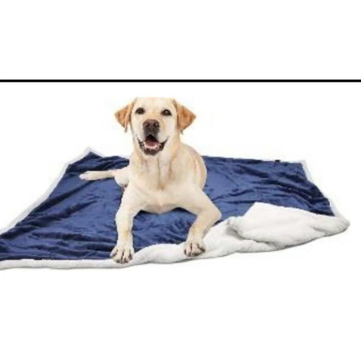 Plush Pet Blanket