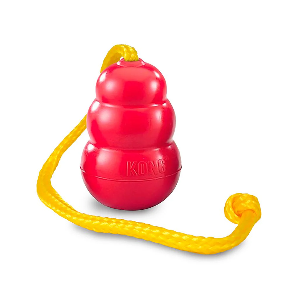 KONG Red Rubber Dog Toy with Rope