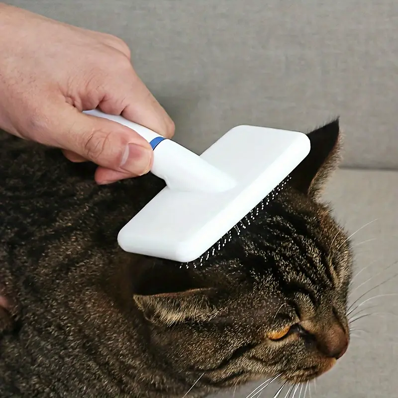 Pet Grooming Brush Set