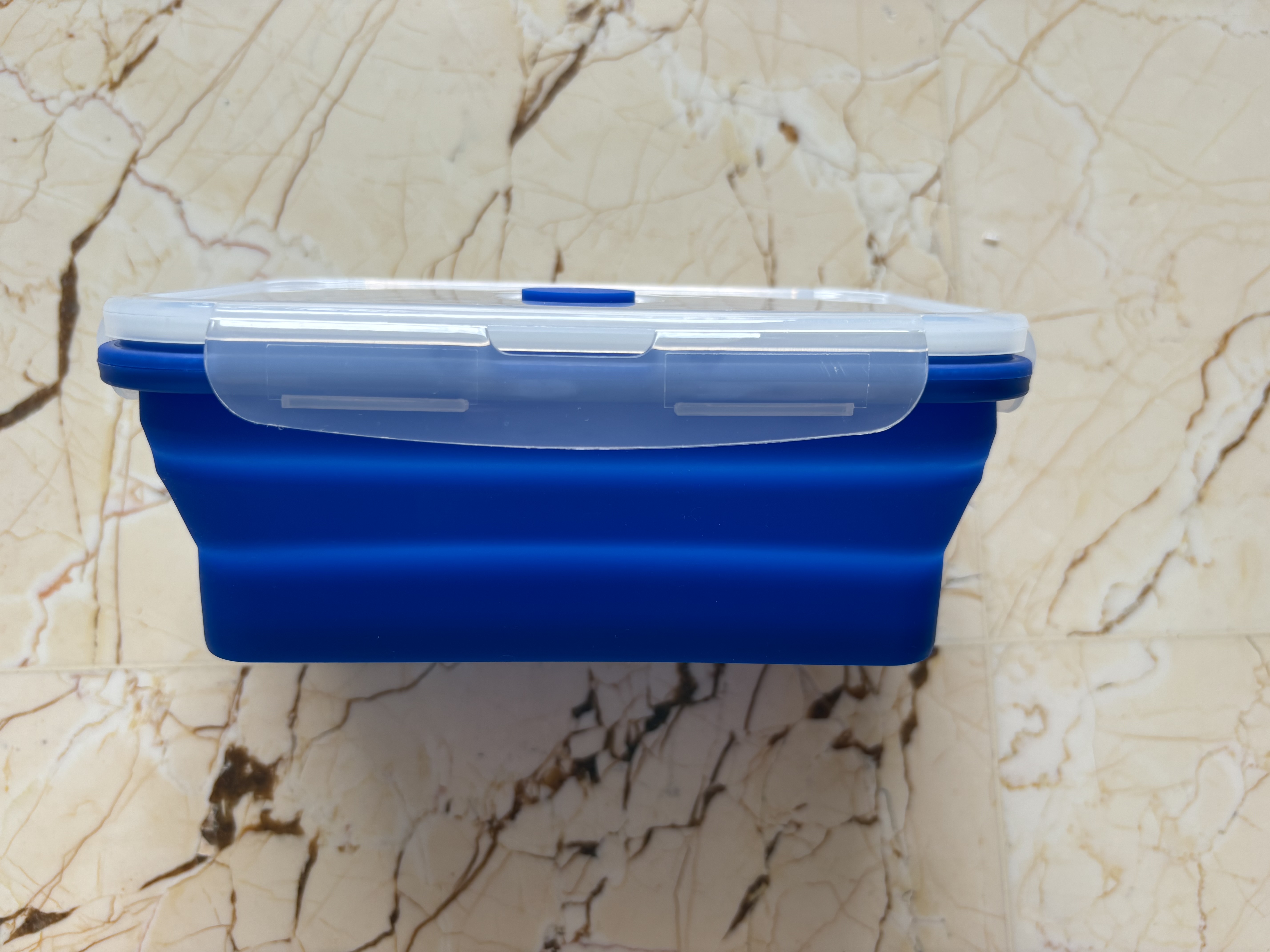 Foldable Food Storage Container