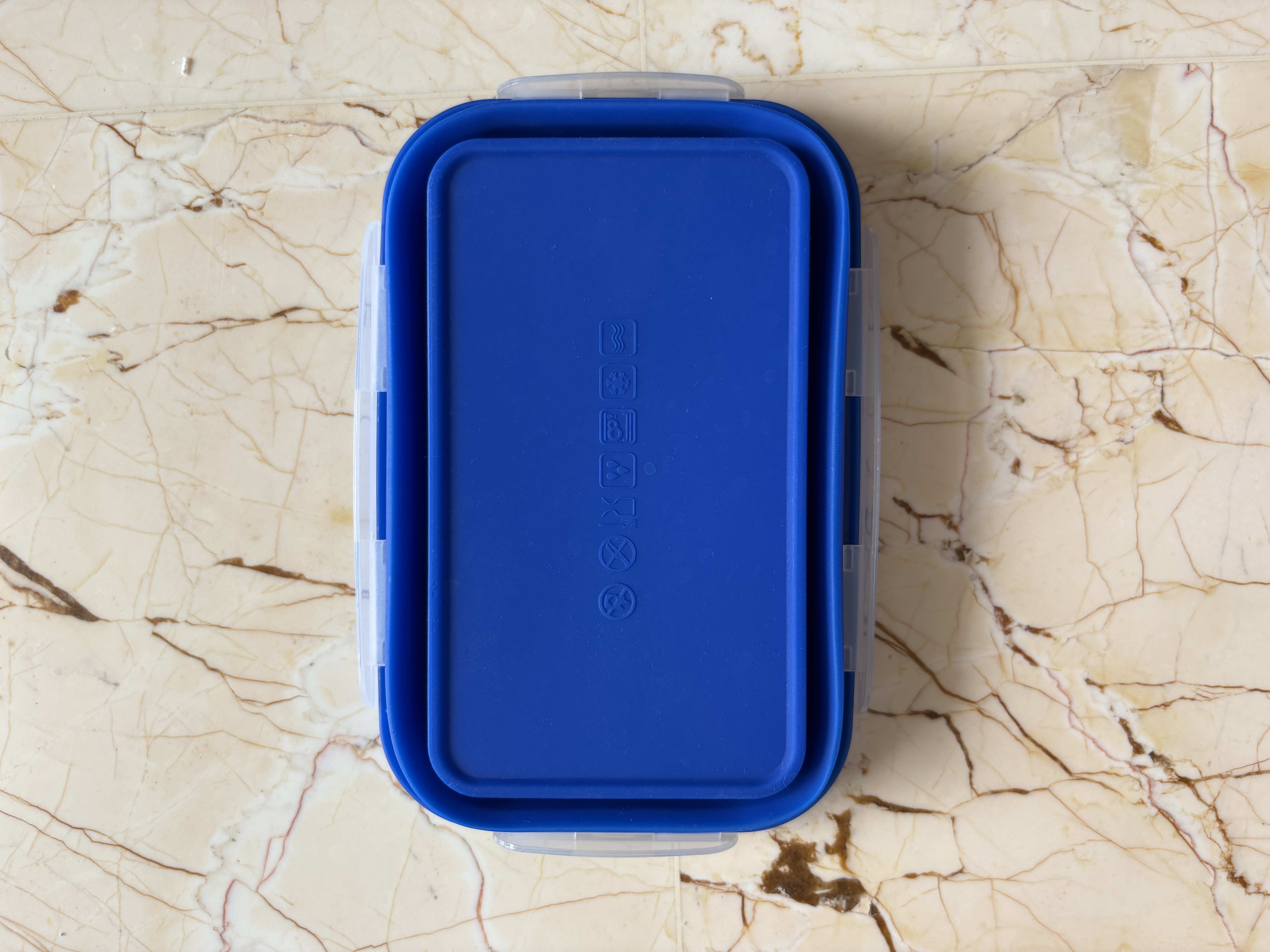 Foldable Food Storage Container