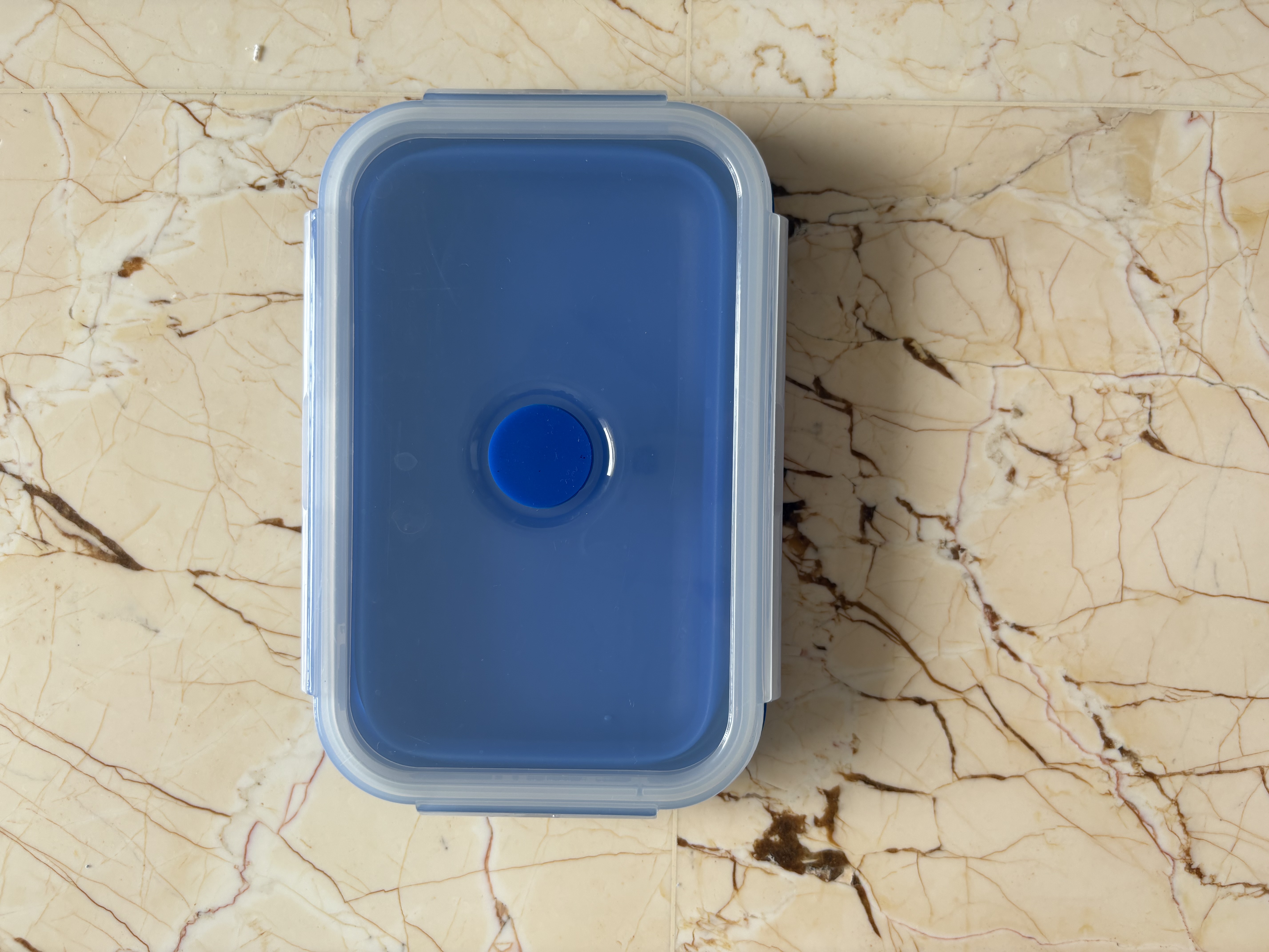 Foldable Food Storage Container