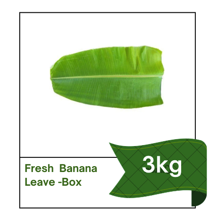 Fresh Banana Leaves Box