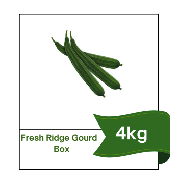 Fresh Indian Ridge Gourd- Box
