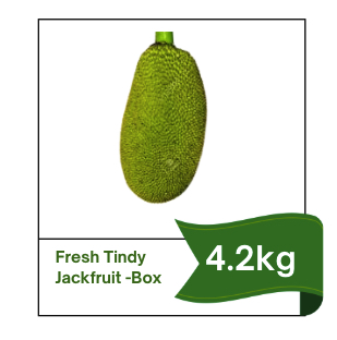 Fresh Tinder Jackfruit Box