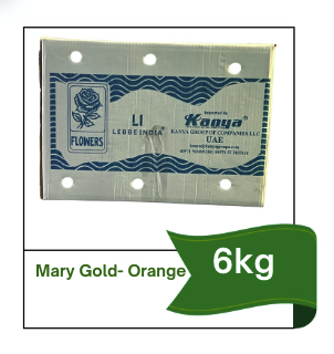 Marigold Orange Flower Box