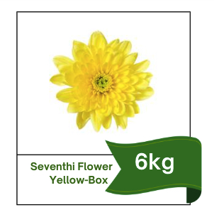 Seventhi Flower Yellow-Box