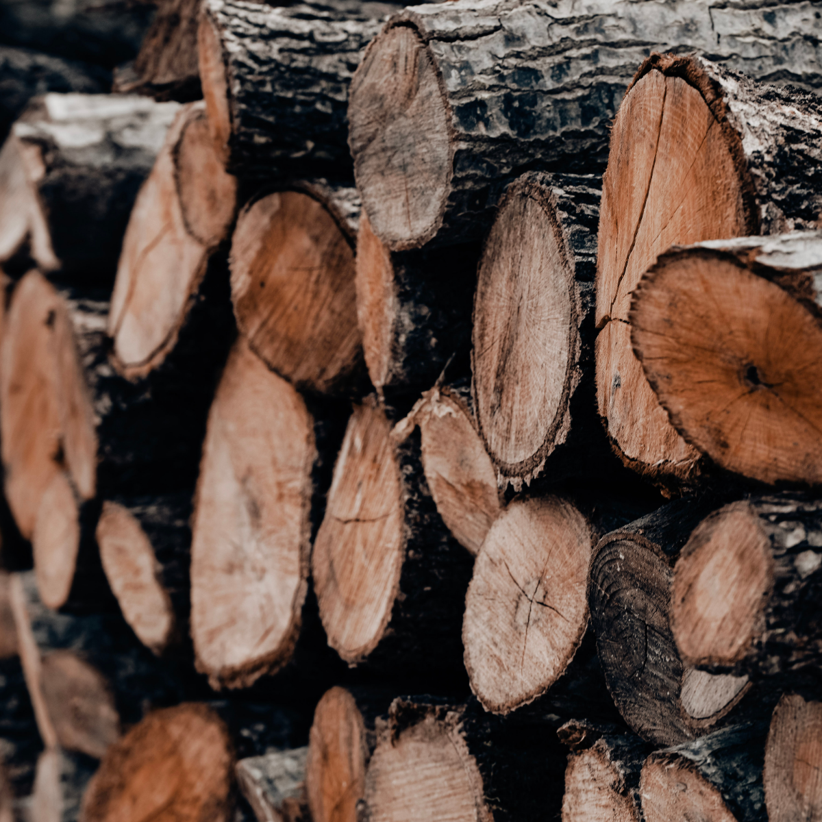 Stère de châtaignier