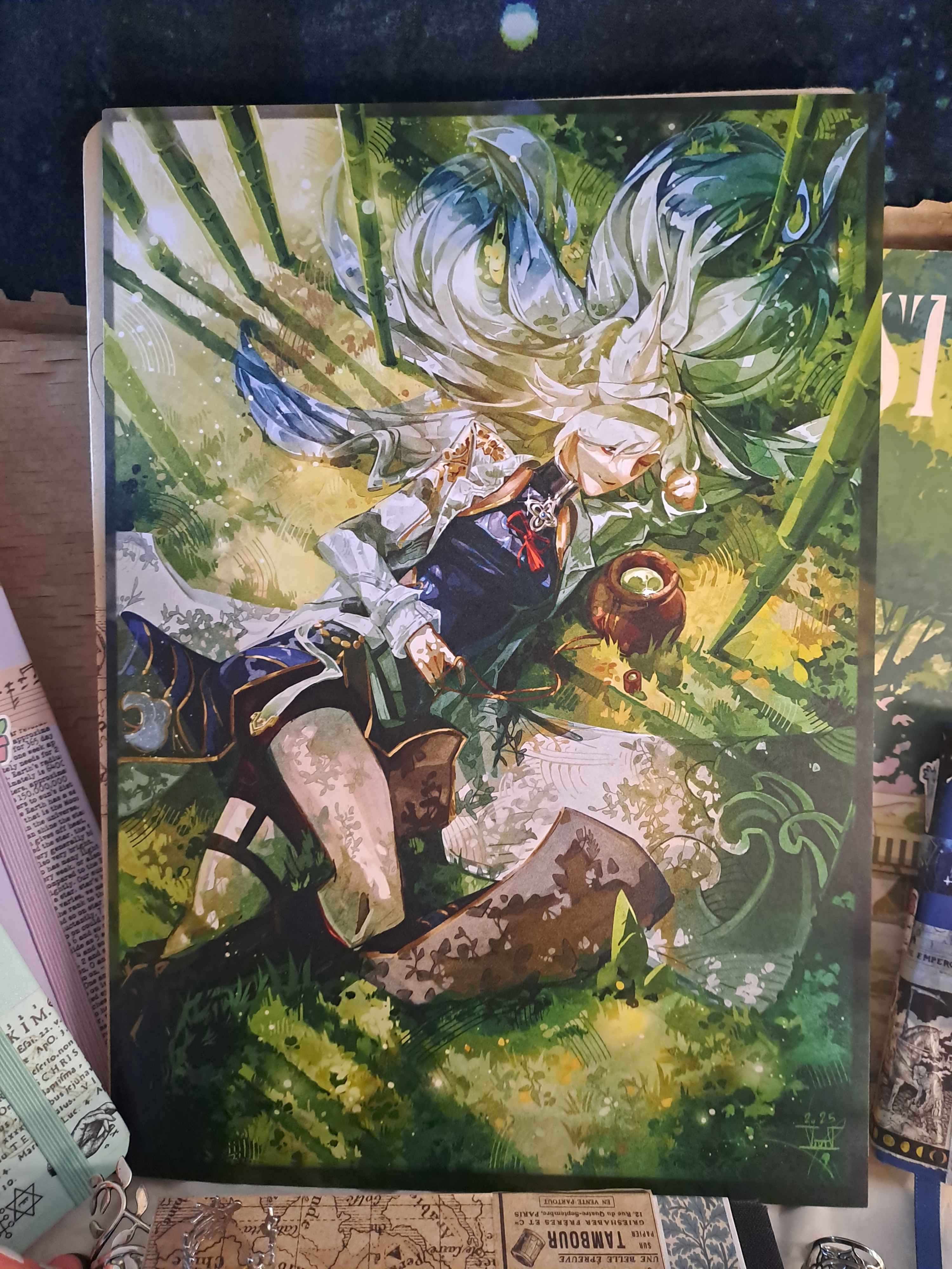 Feixiao - A4 Print