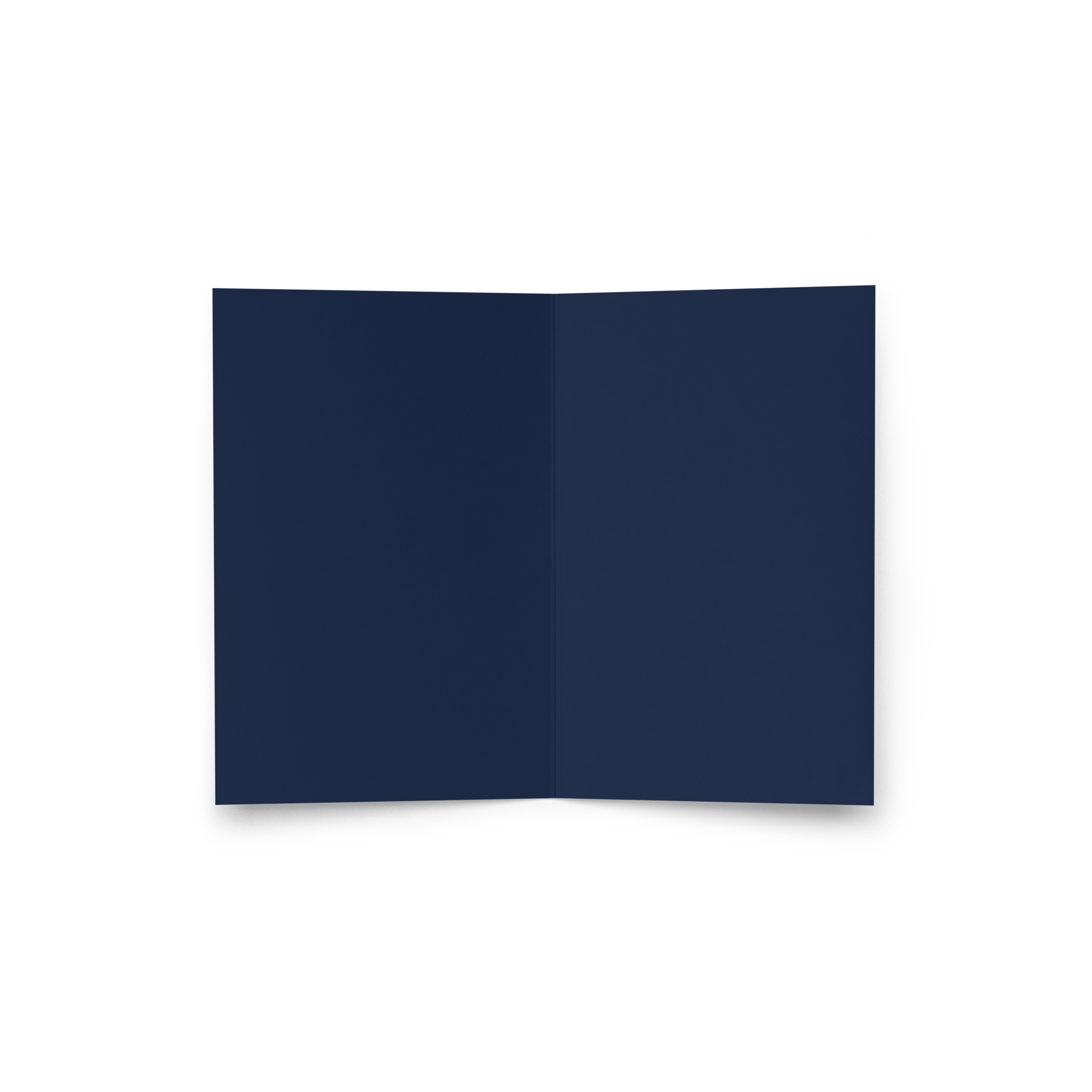 Christmas Wishes - Greeting Card