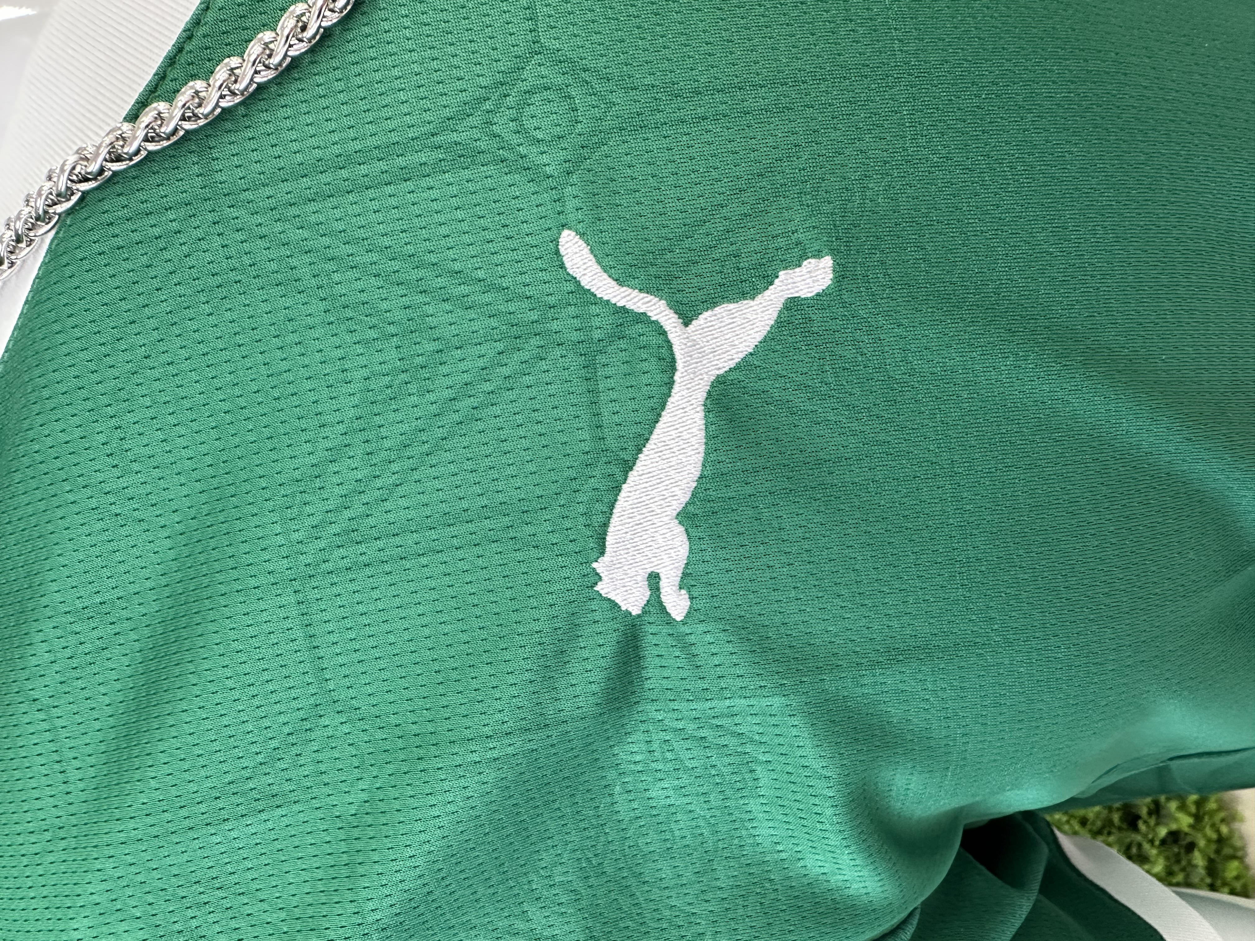 Palmeiras Football Jersey