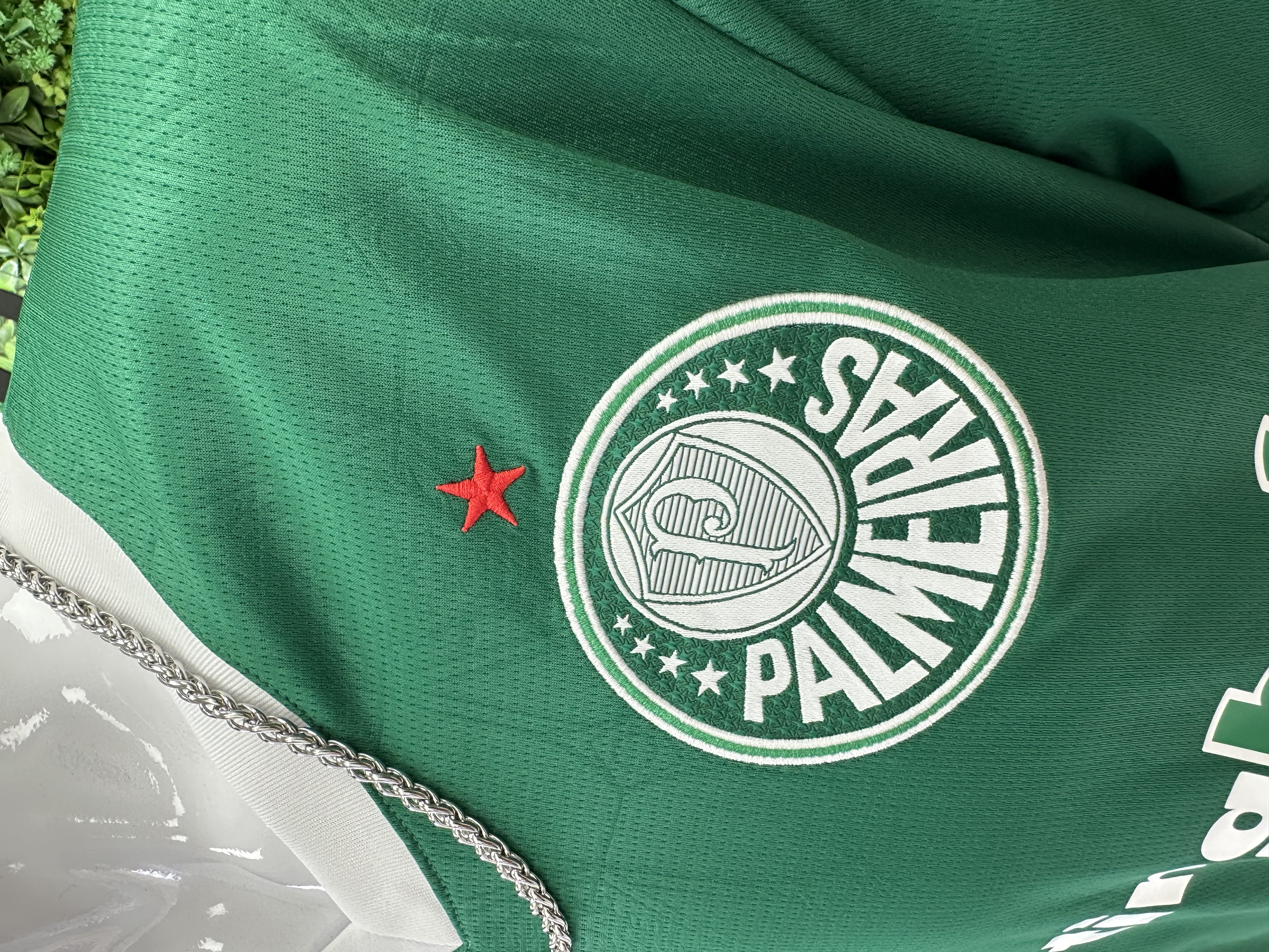 Palmeiras Football Jersey