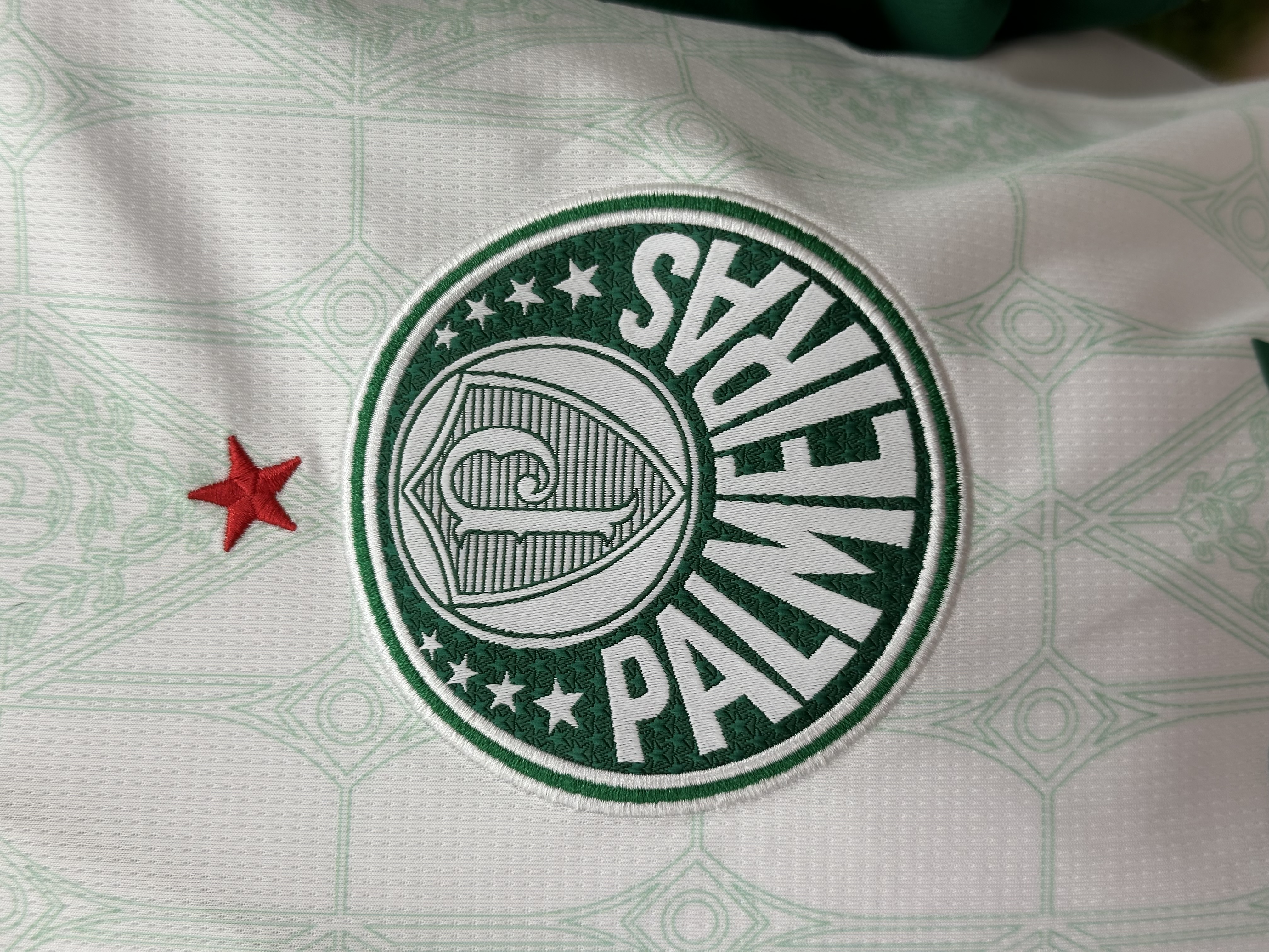 Palmeiras 2025 Away Jersey