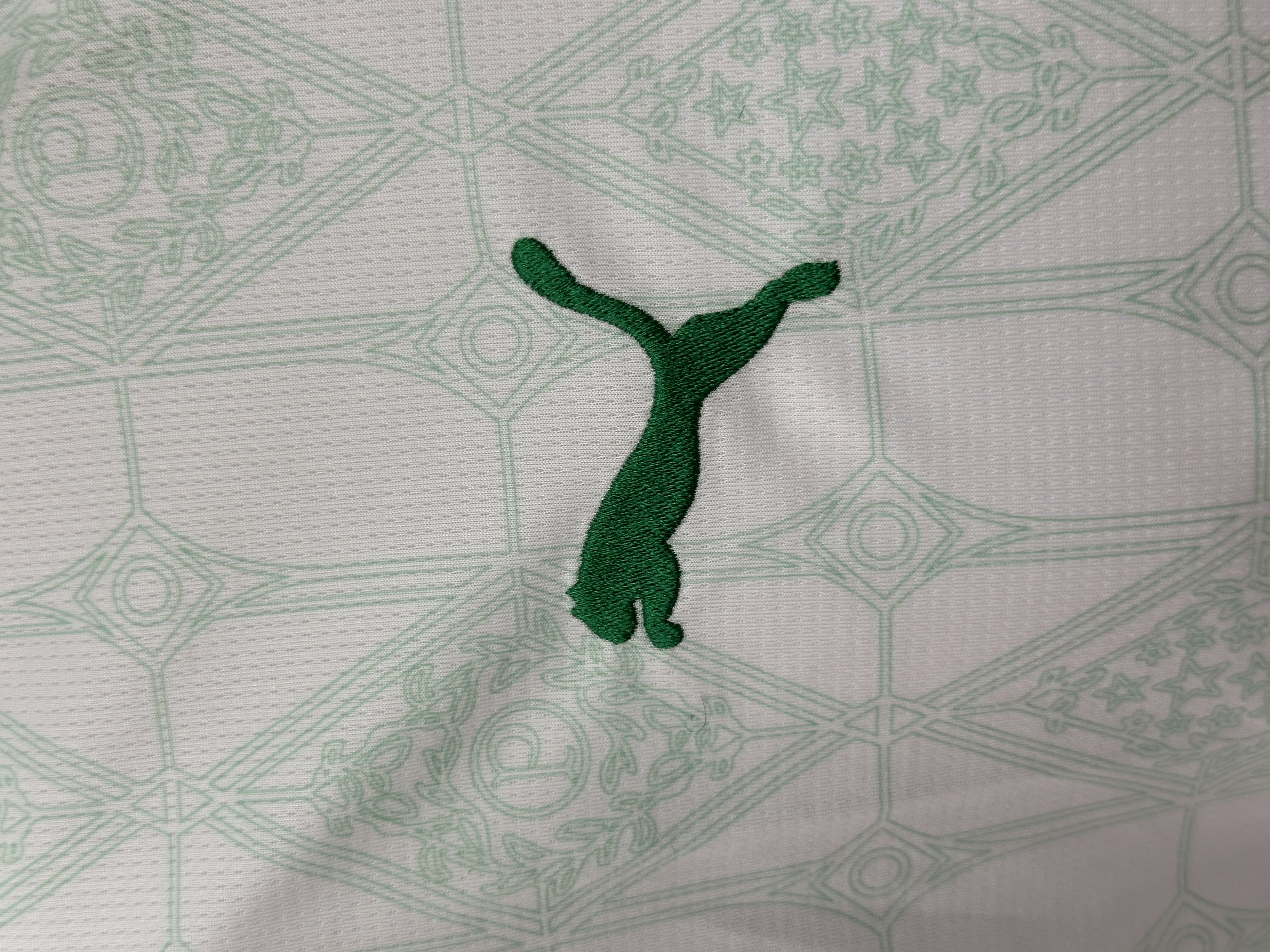 Palmeiras 2025 Away Jersey