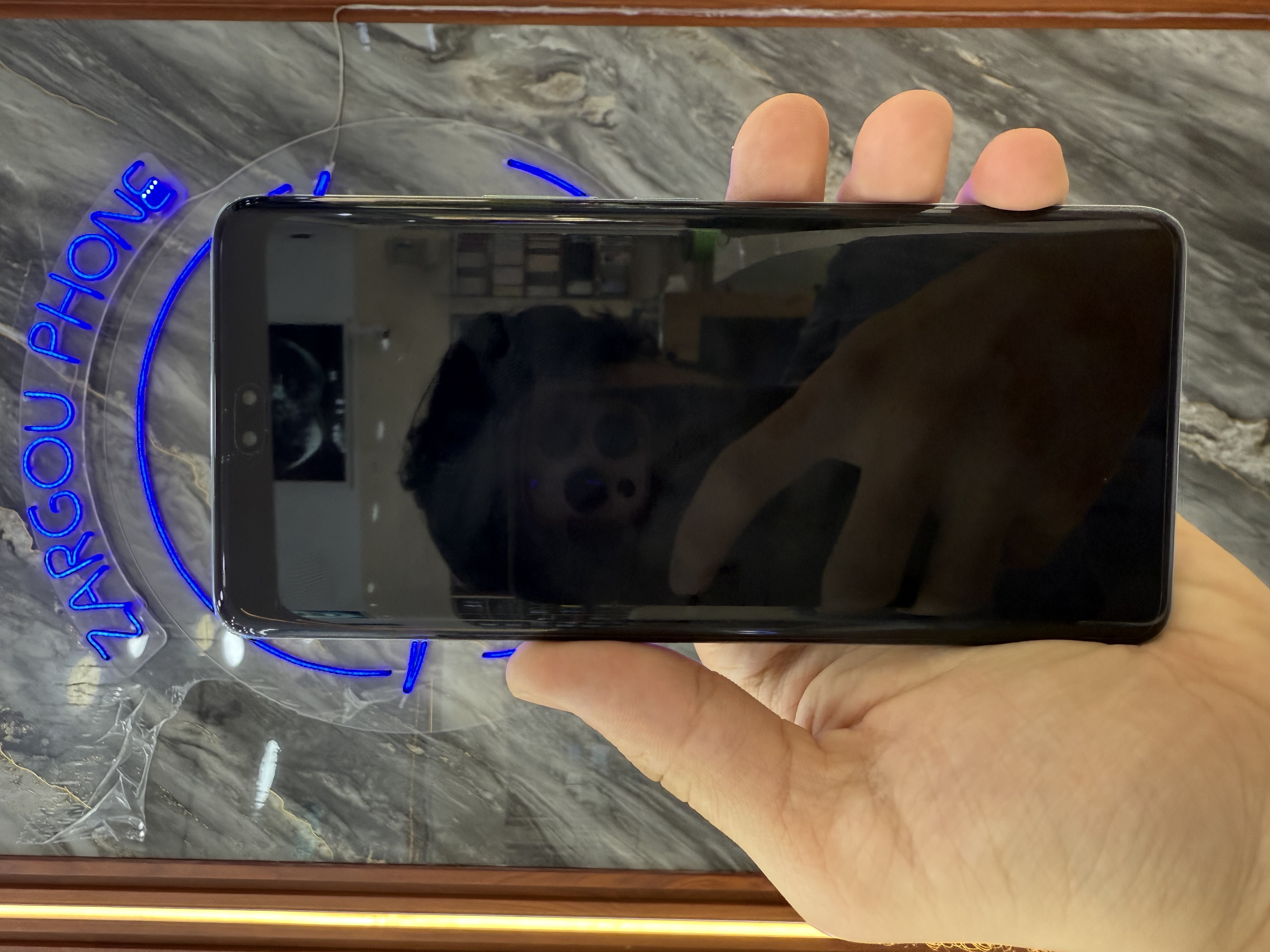 Honor 200 Pro