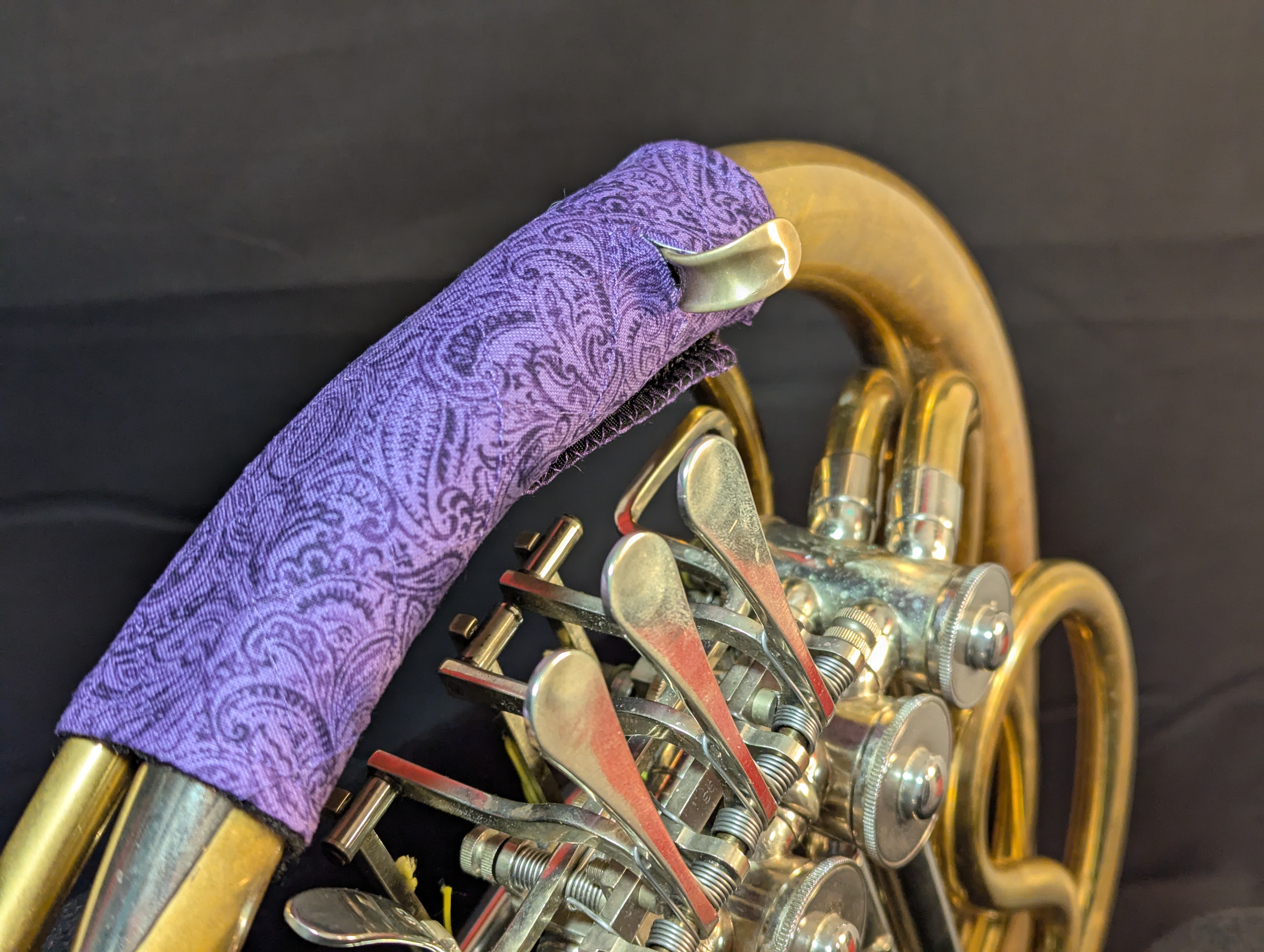 Purple Paisley