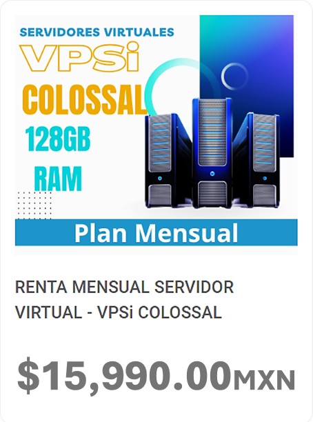 RENTA MENSUAL SERVIDOR VIRTUAL