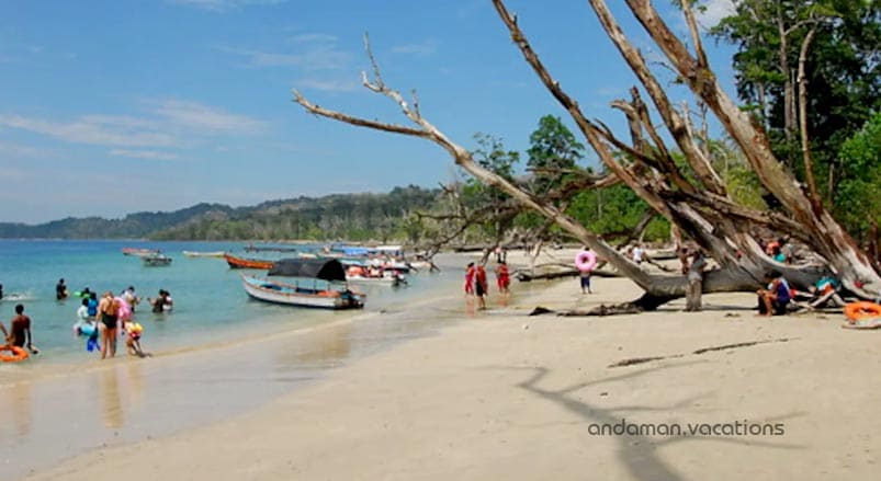 Excursion to Elephant Beach(By Trekking)