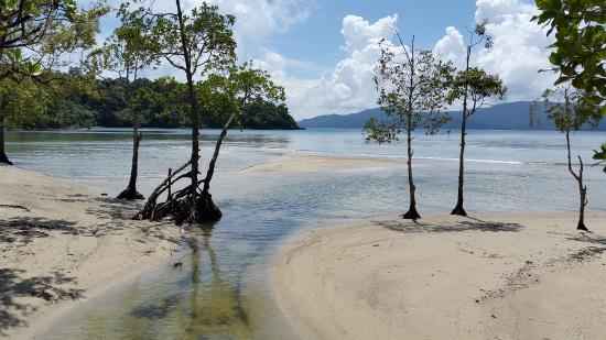 Chidiyatapu Beach Trip