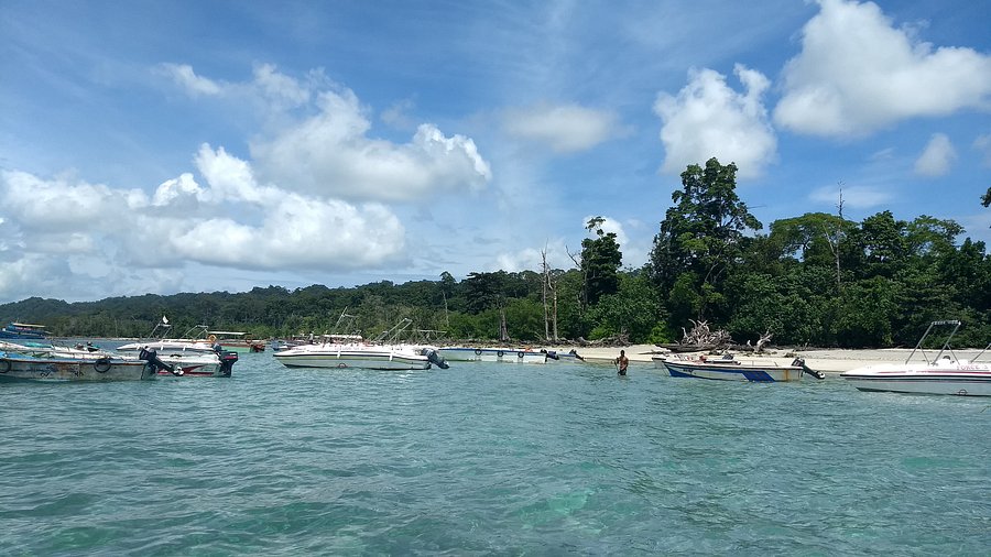 Excursion to Elephant Beach(By Trekking)