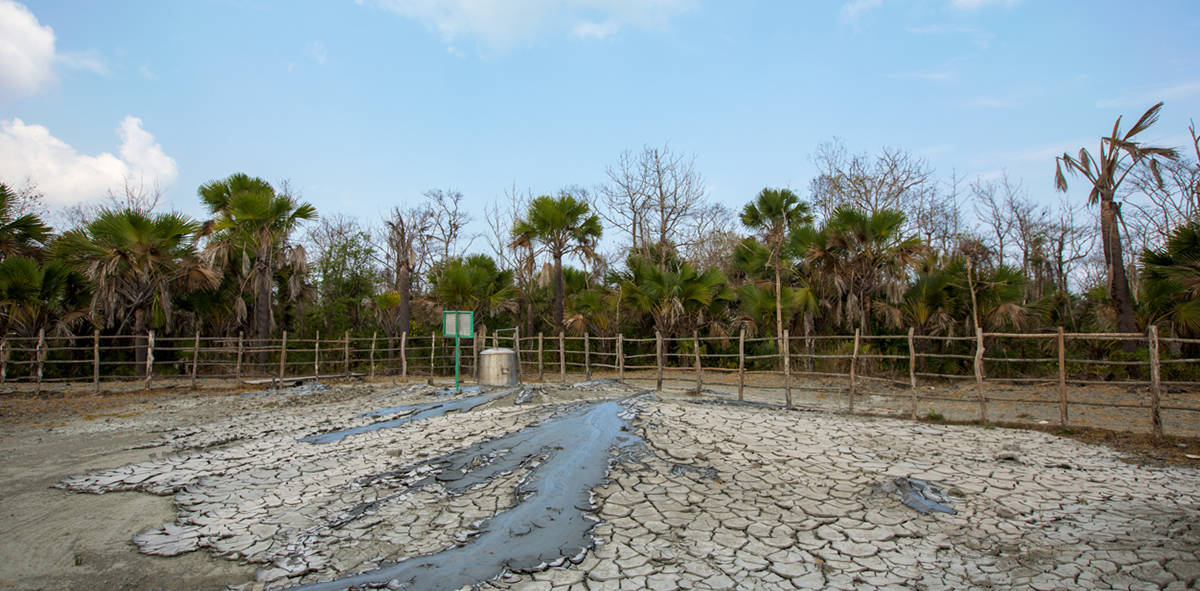 Baratang Island Trip