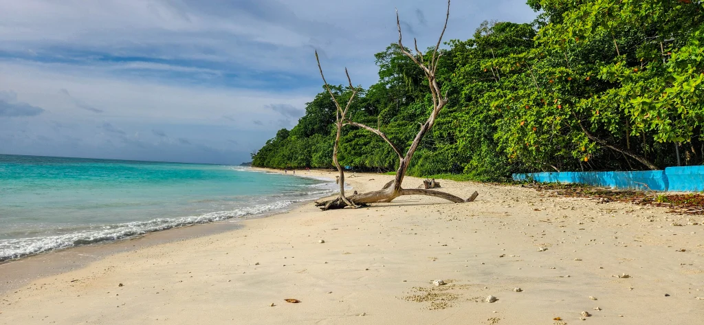 Kalapattar Beach Trip