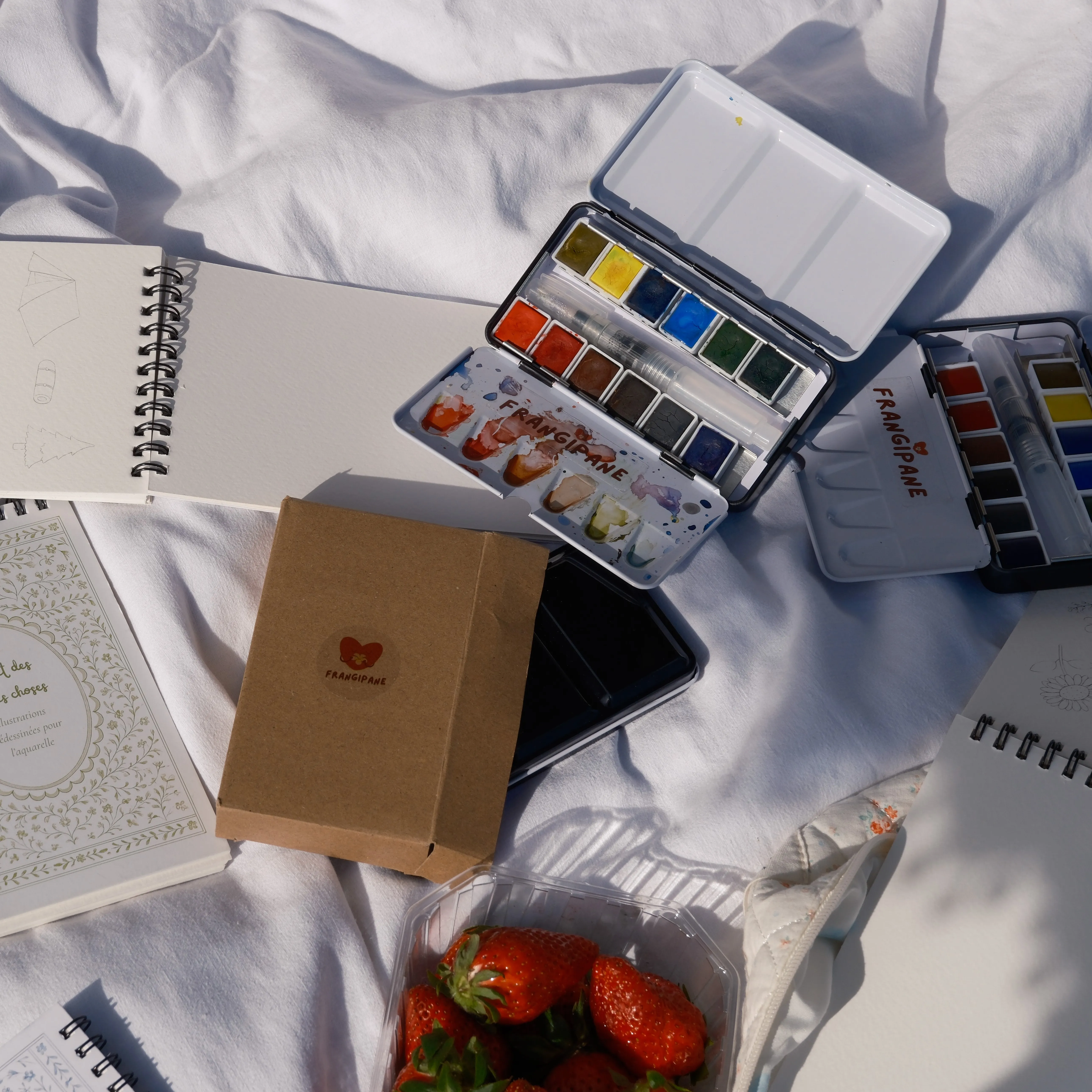 Palette aquarelle 12 godets