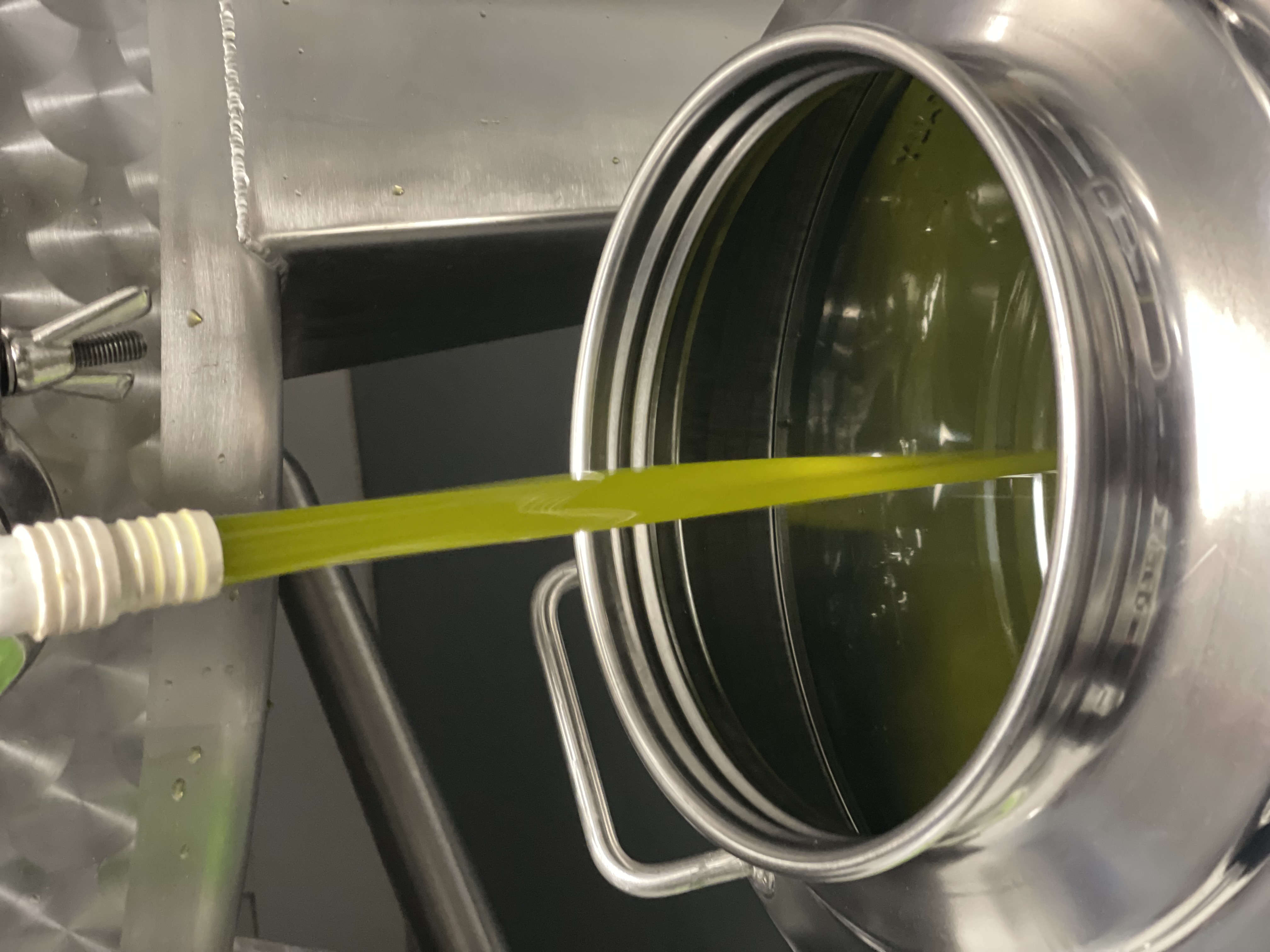 Huile d'olive extra vierge en vrac